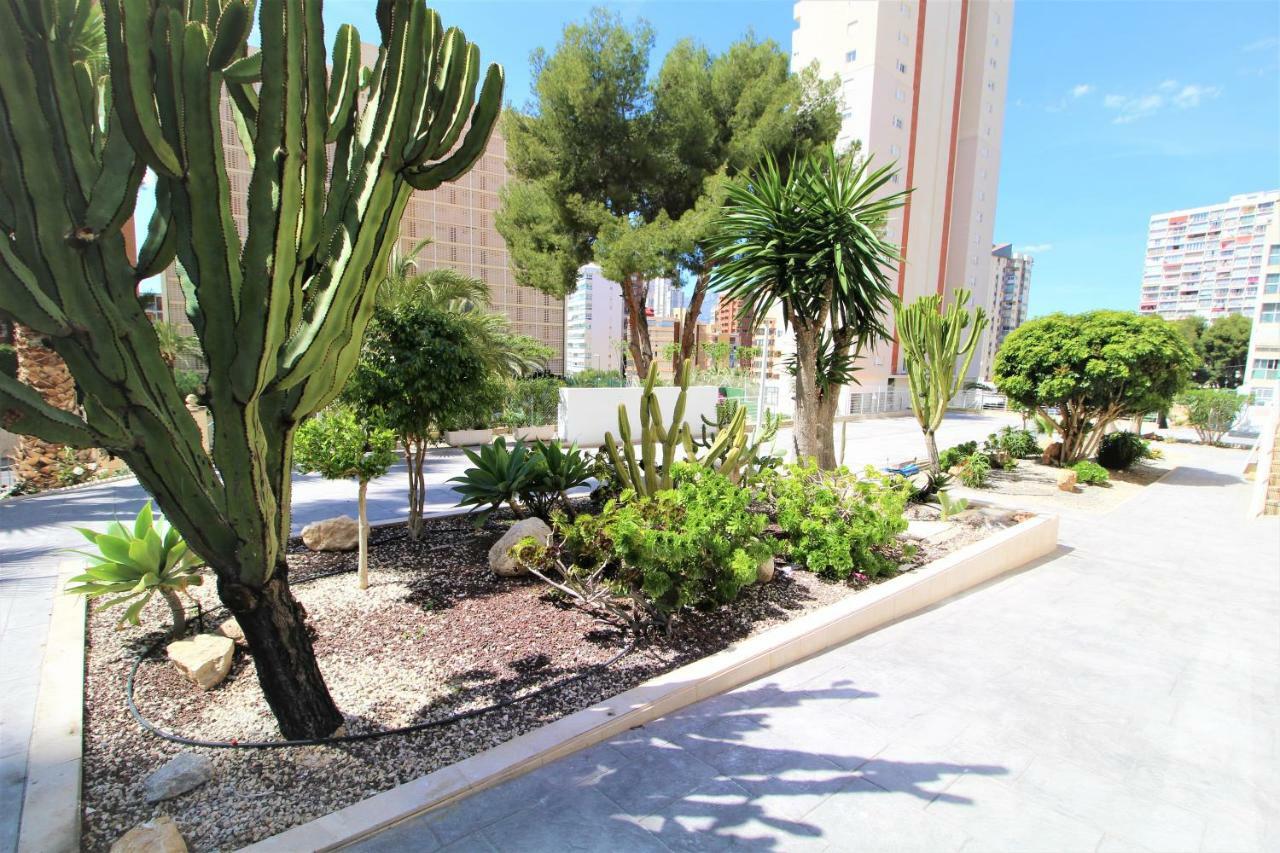 Atico Levante Torre Montecarlo بينايدورم المظهر الخارجي الصورة